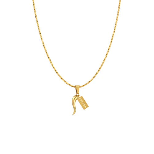 LUCKY HORN NECKLACE